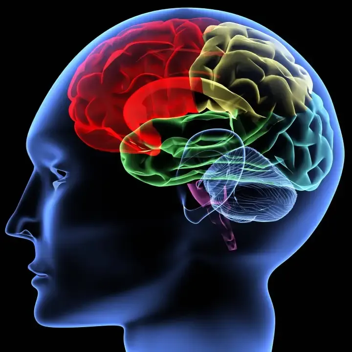 Brain Health Analysis & Cognitive Fitness App