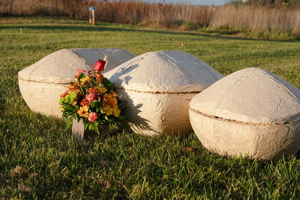 Compostable Pet Coffins