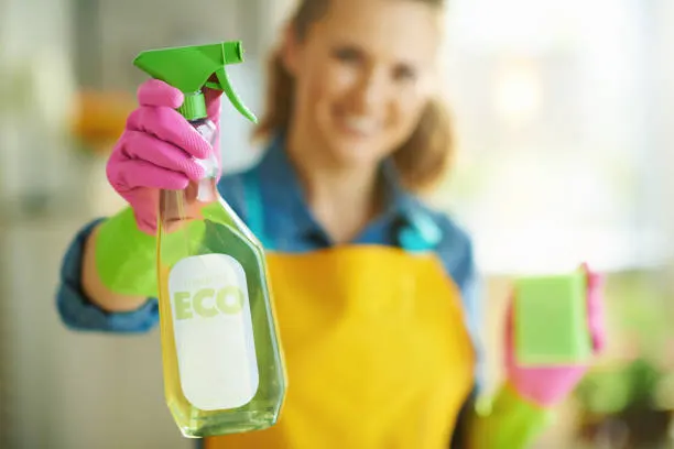 Eco-Friendly Cleaning Service