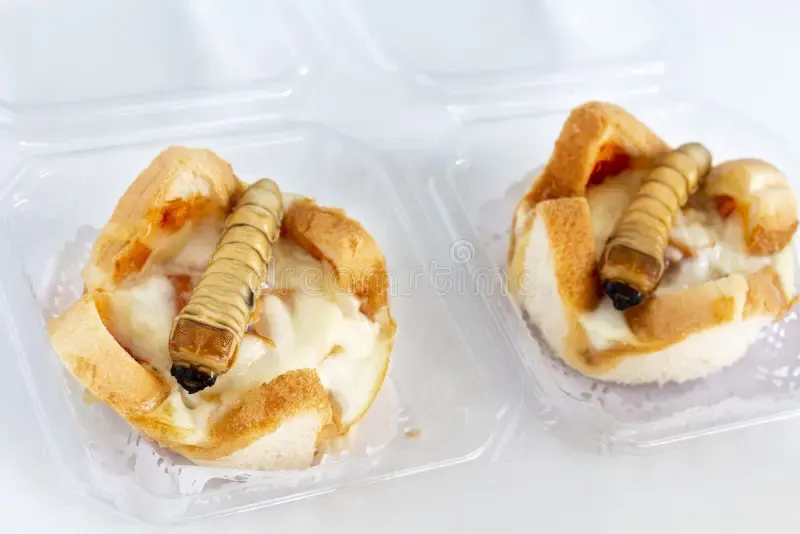 Edible Insect Snack Store