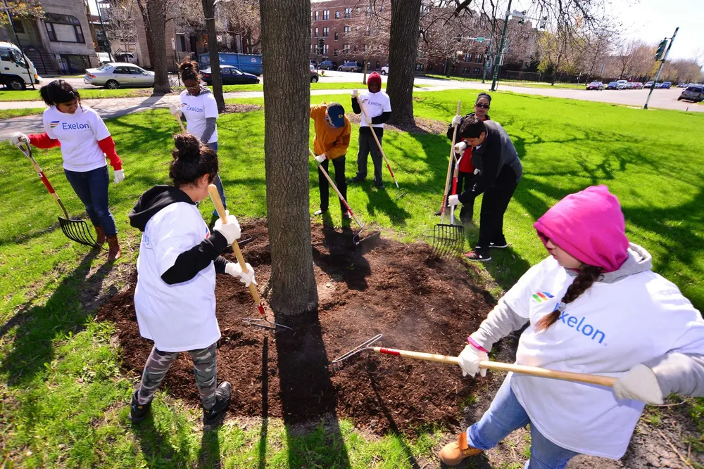 Online Platform for Local Volunteering