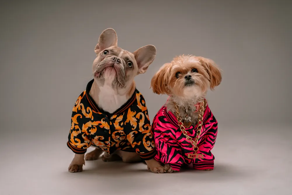 Pet Stylish Boutique
