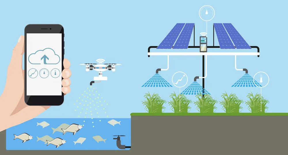 Rent or Sell Aquaponic Systems