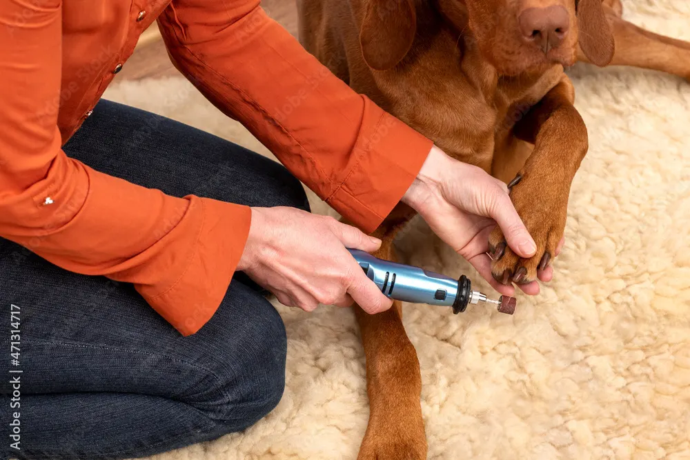 Sell Dog Toenail Grinder Device