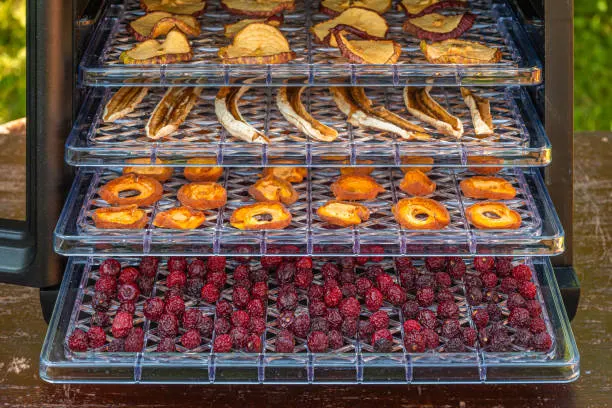 Sell/Rent Portable Fruit Dryers