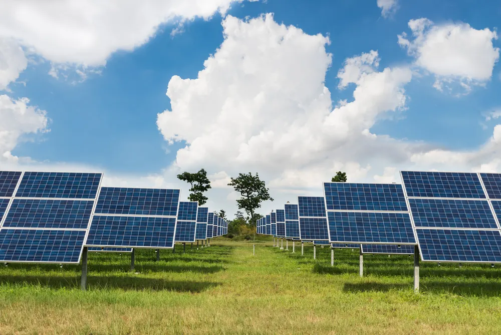 Solar Farm Business