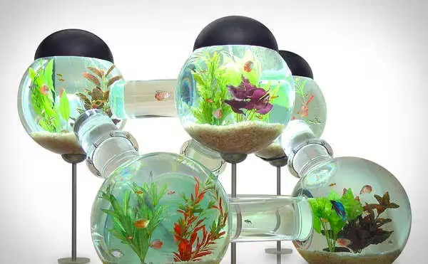 Sell Custom Fish Tanks