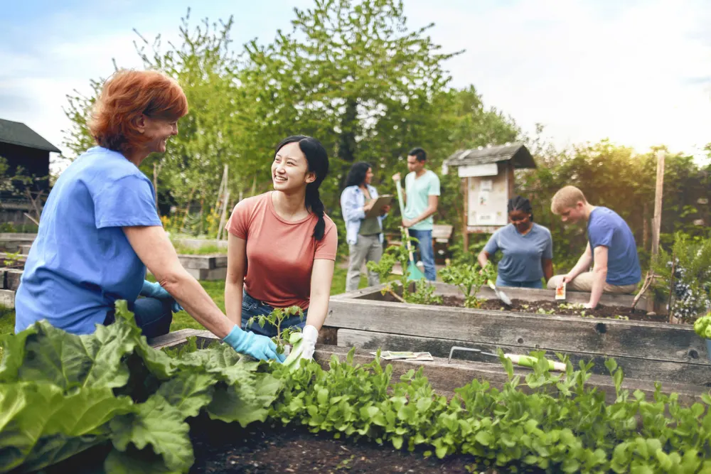 Virtual Community Gardens