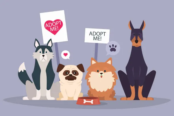 Virtual Pet Adoption Agency